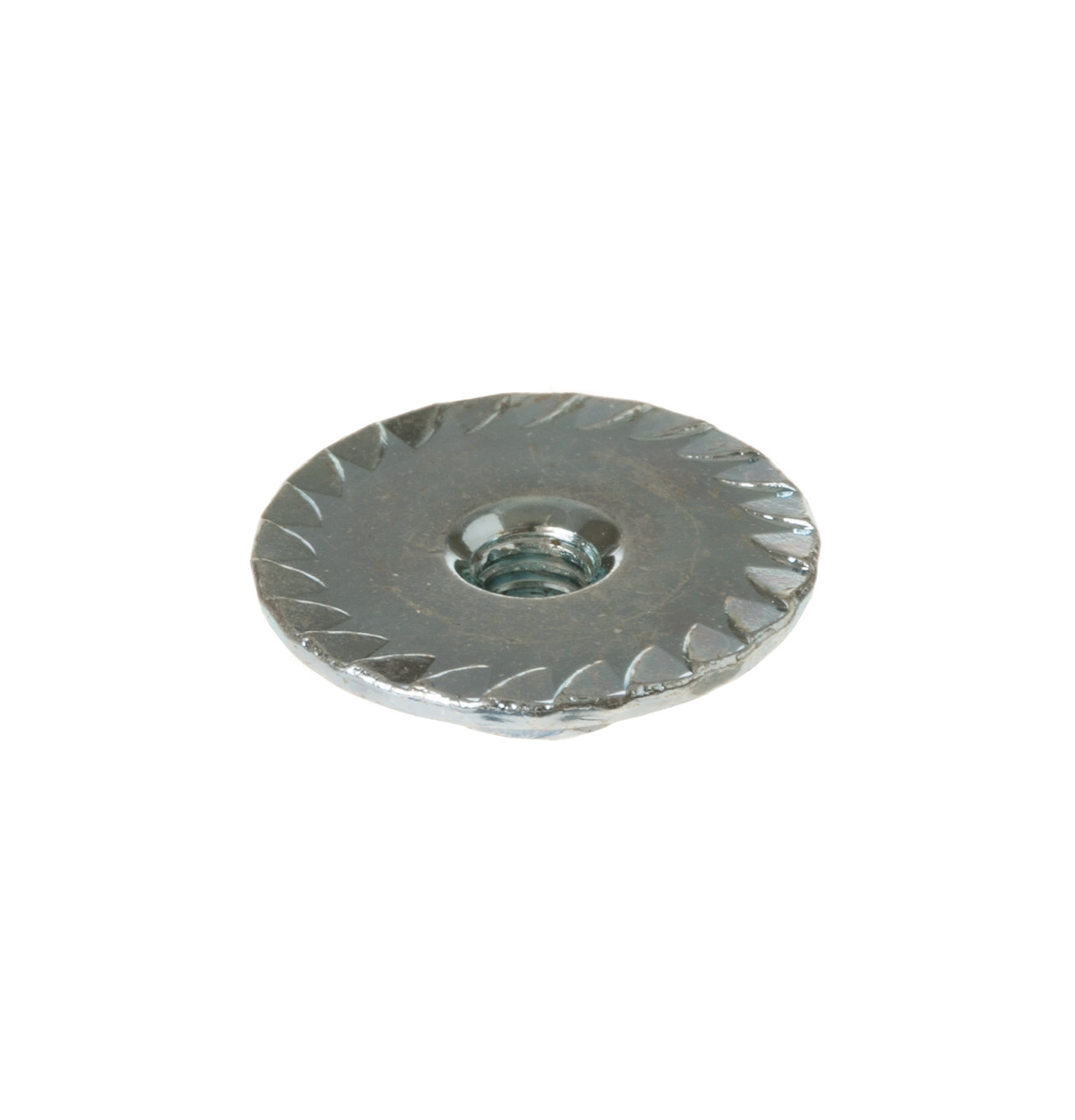 WH2X1204-8046.jpg WH2X1204-8046.jpg