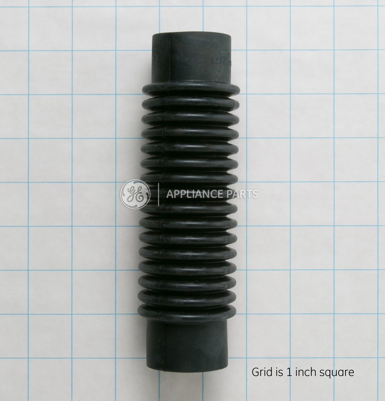 WH41X10163-8759.jpg