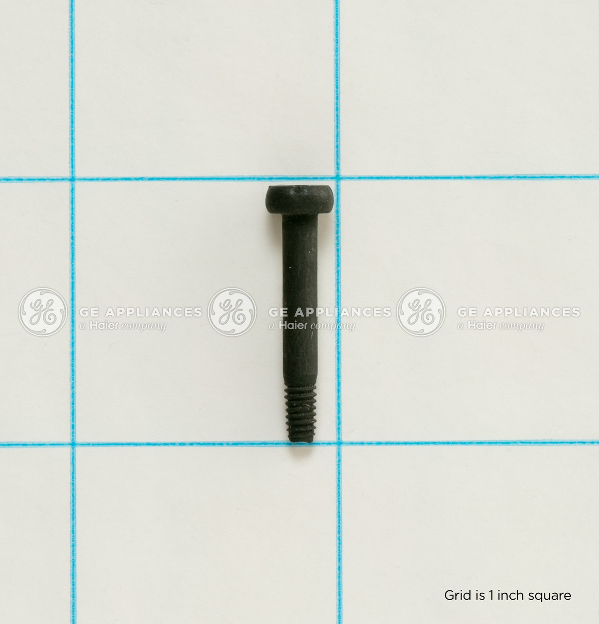 WE2X21854-5778.jpg
