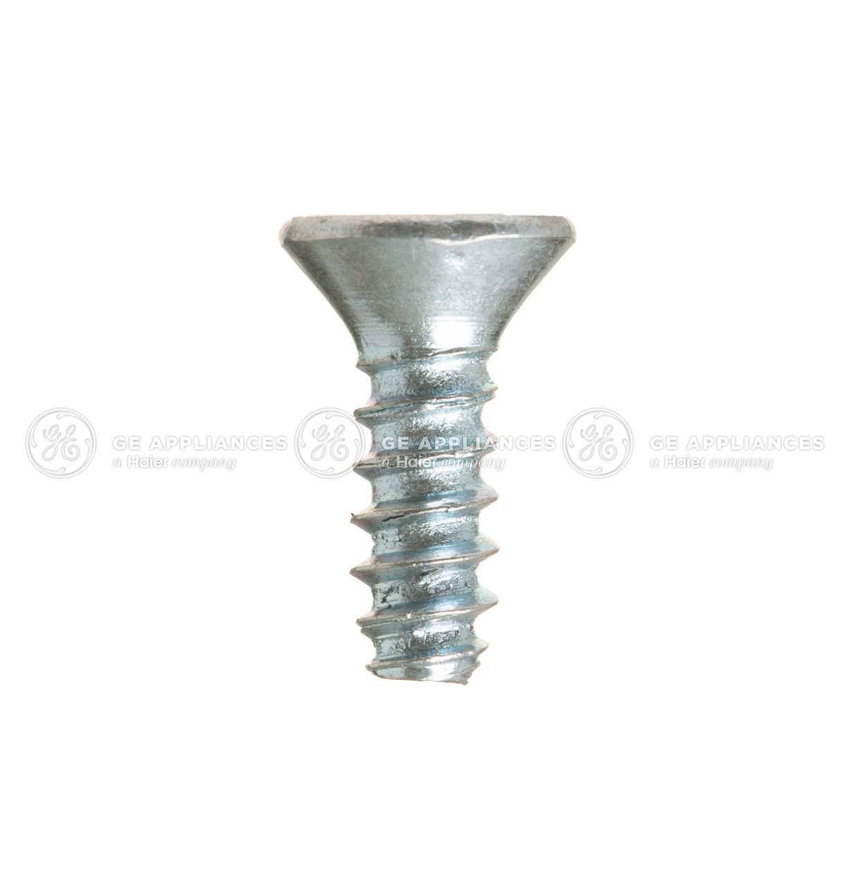 WE2M262-7360.jpg