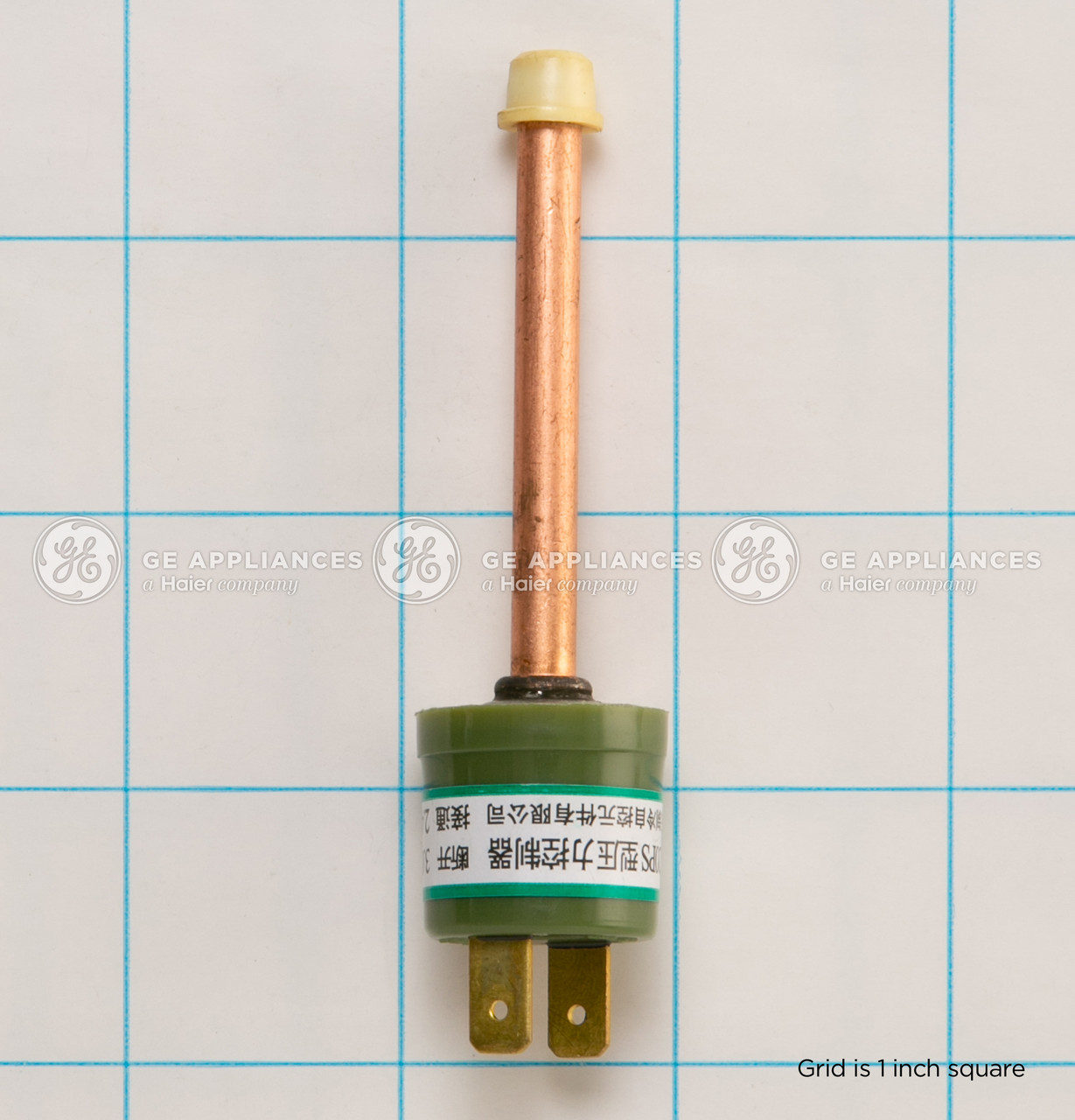 WJ27X24068-2269.jpg