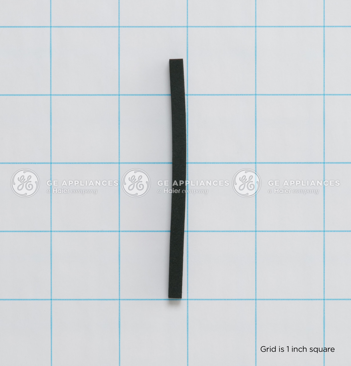 WD08X10073-5711.jpg