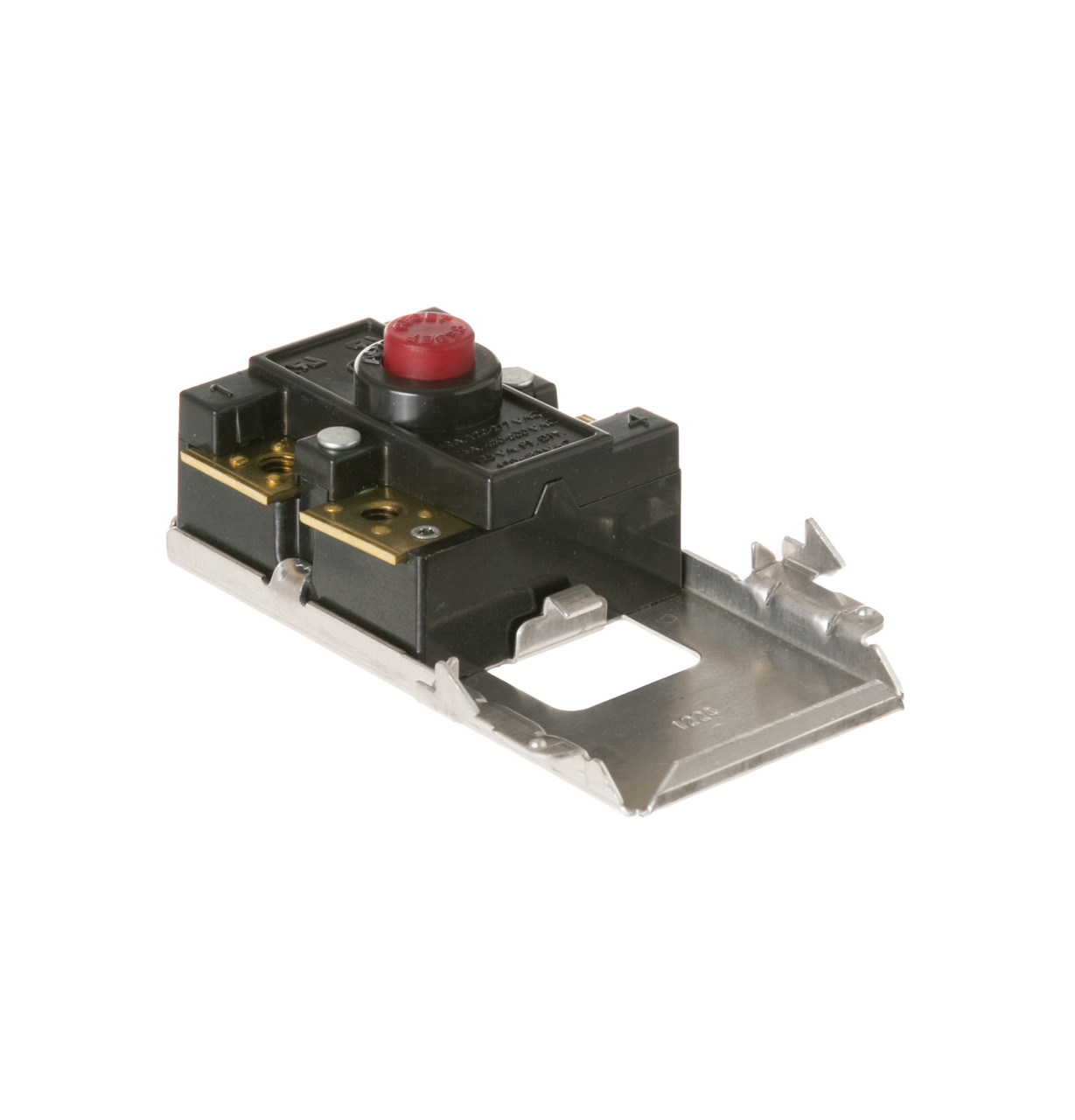 WS17X10009-8637.jpg