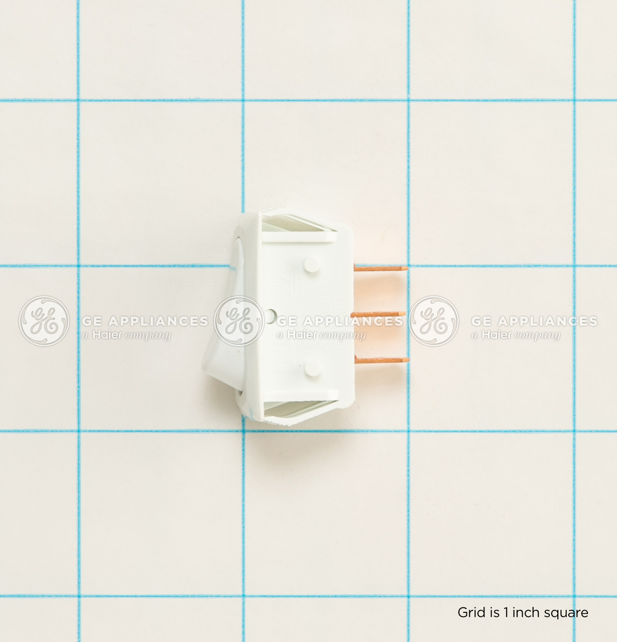WD21X10413-8598.jpg