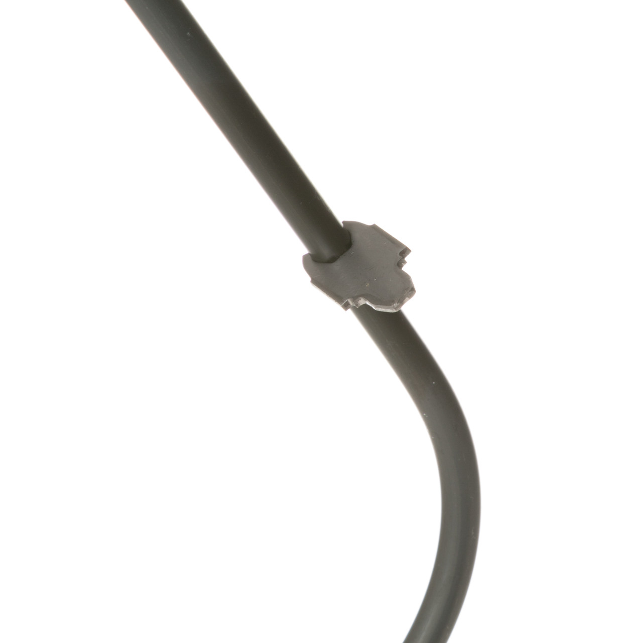 WB44M6-9637.jpg