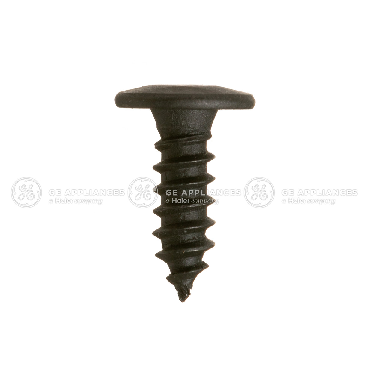 WB01X30915-9980.jpg