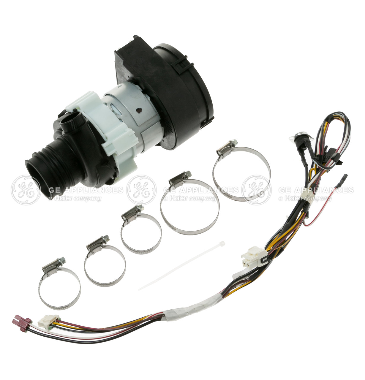 WD49X23781-4169.jpg