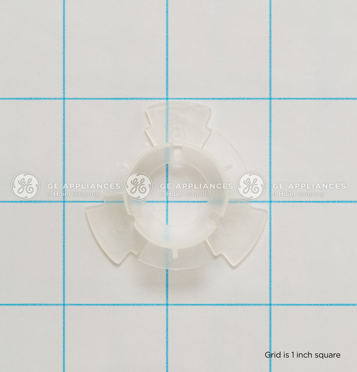 WH1X2661-7676.jpg