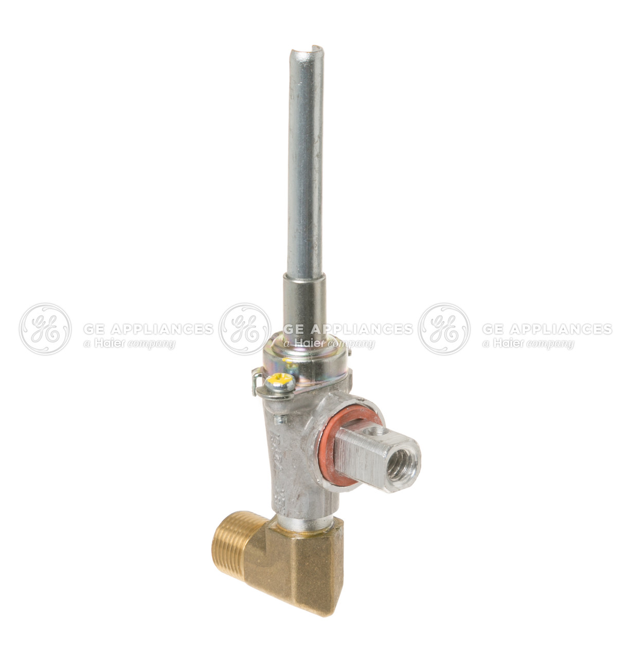 WB19T10090-2970.jpg