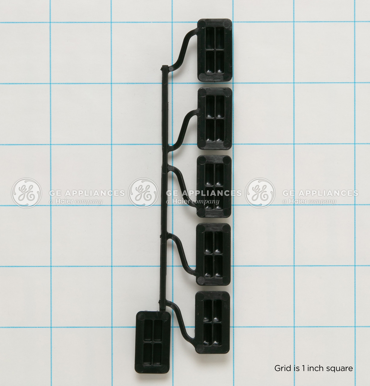 WD09X24403-7795.jpg