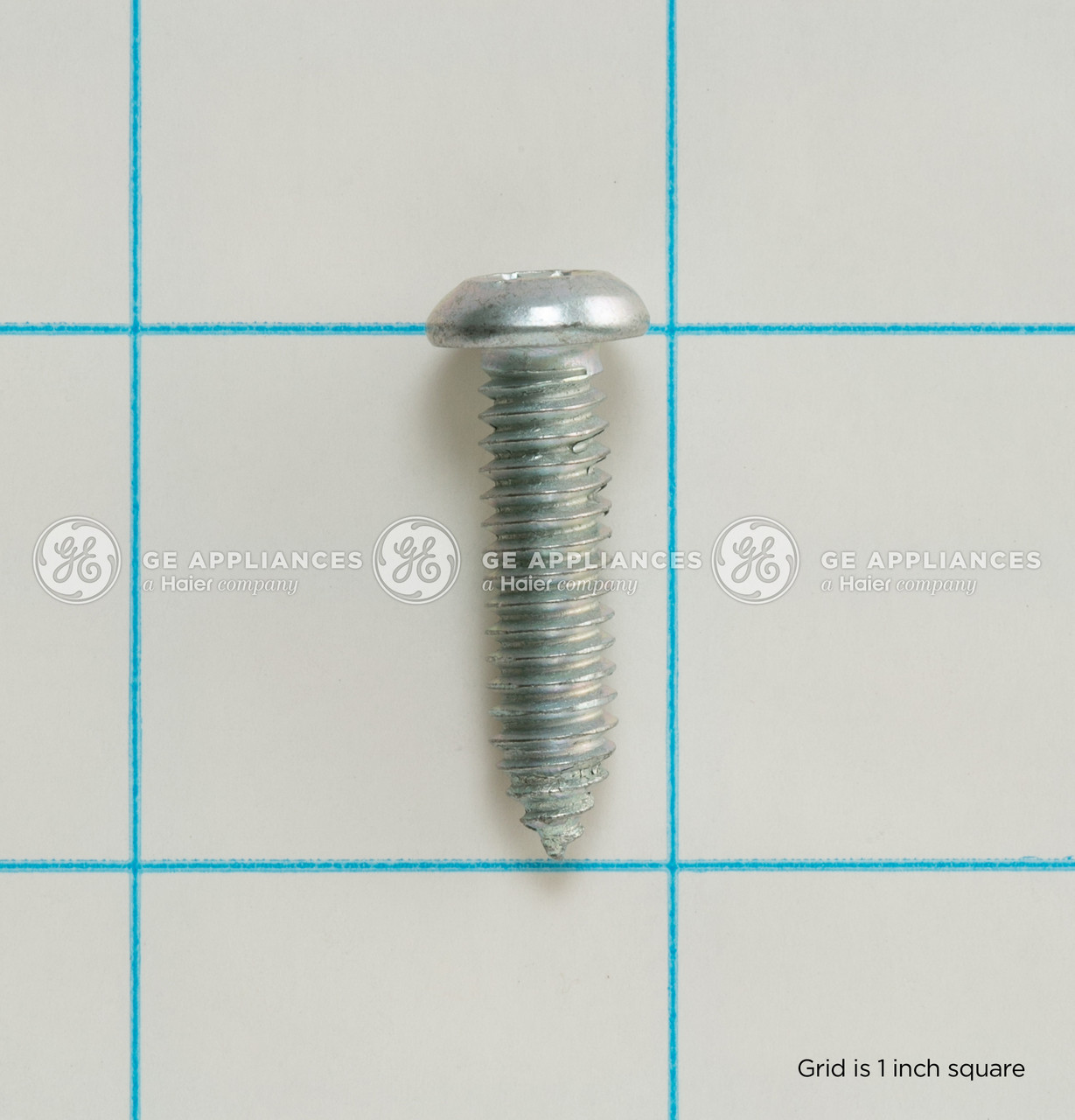 WR01X21024-1084.jpg