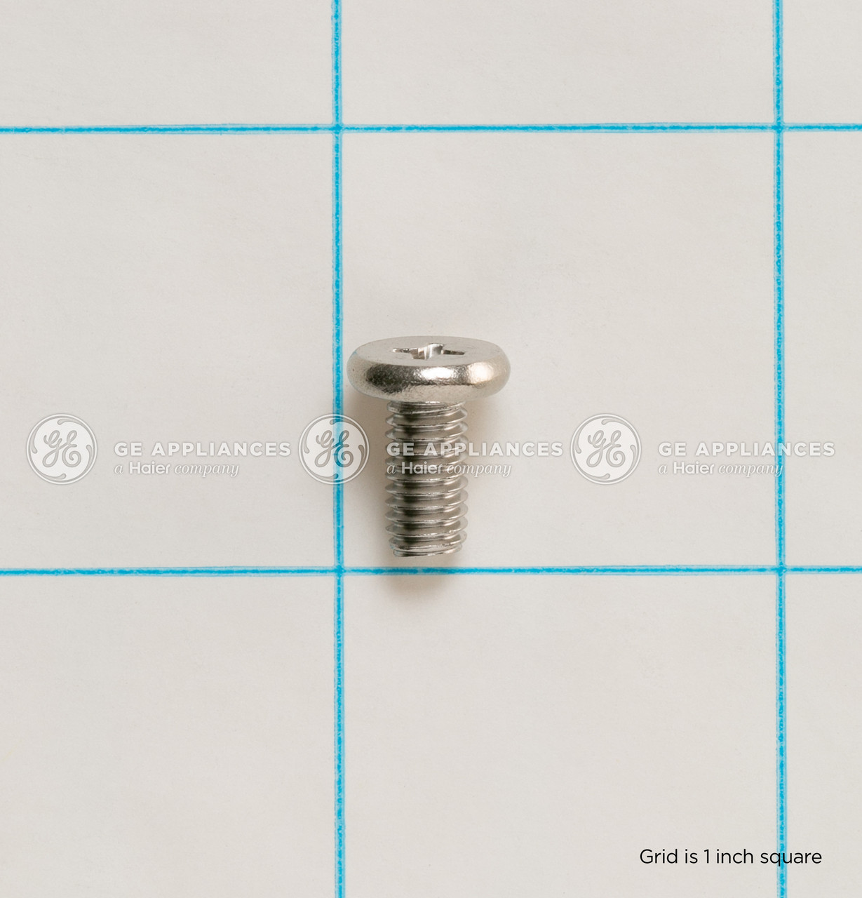 WD02X10137-4844.jpg