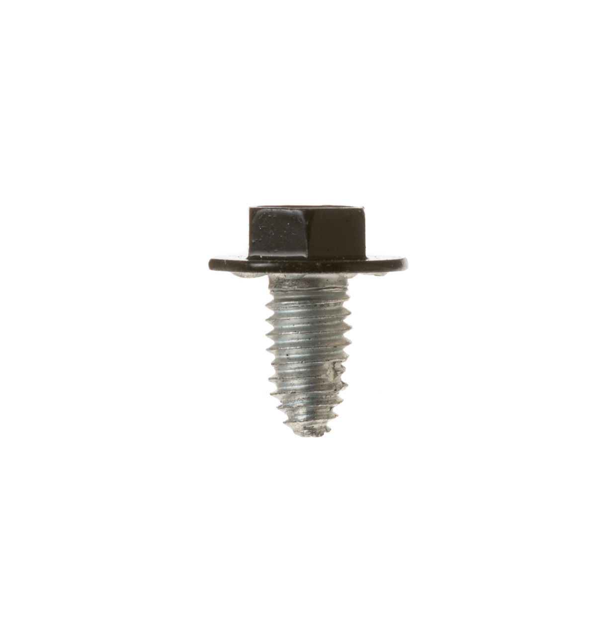 WD02X10209-1774.jpg