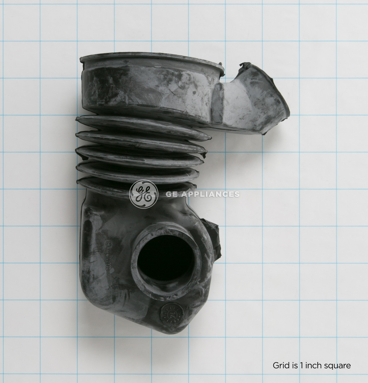 WH41X10010-0856.jpg