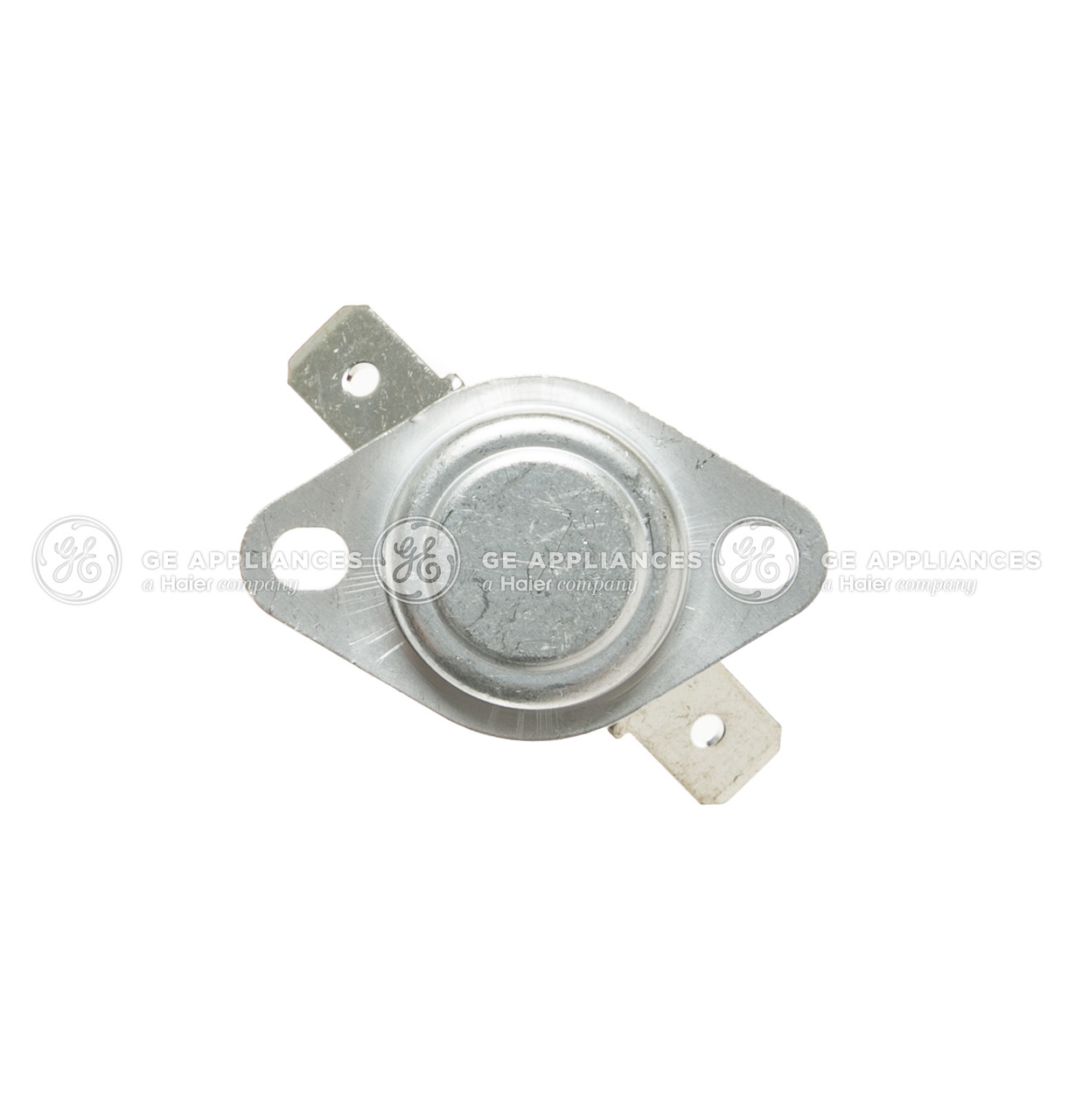 WE04X27739-8976.jpg