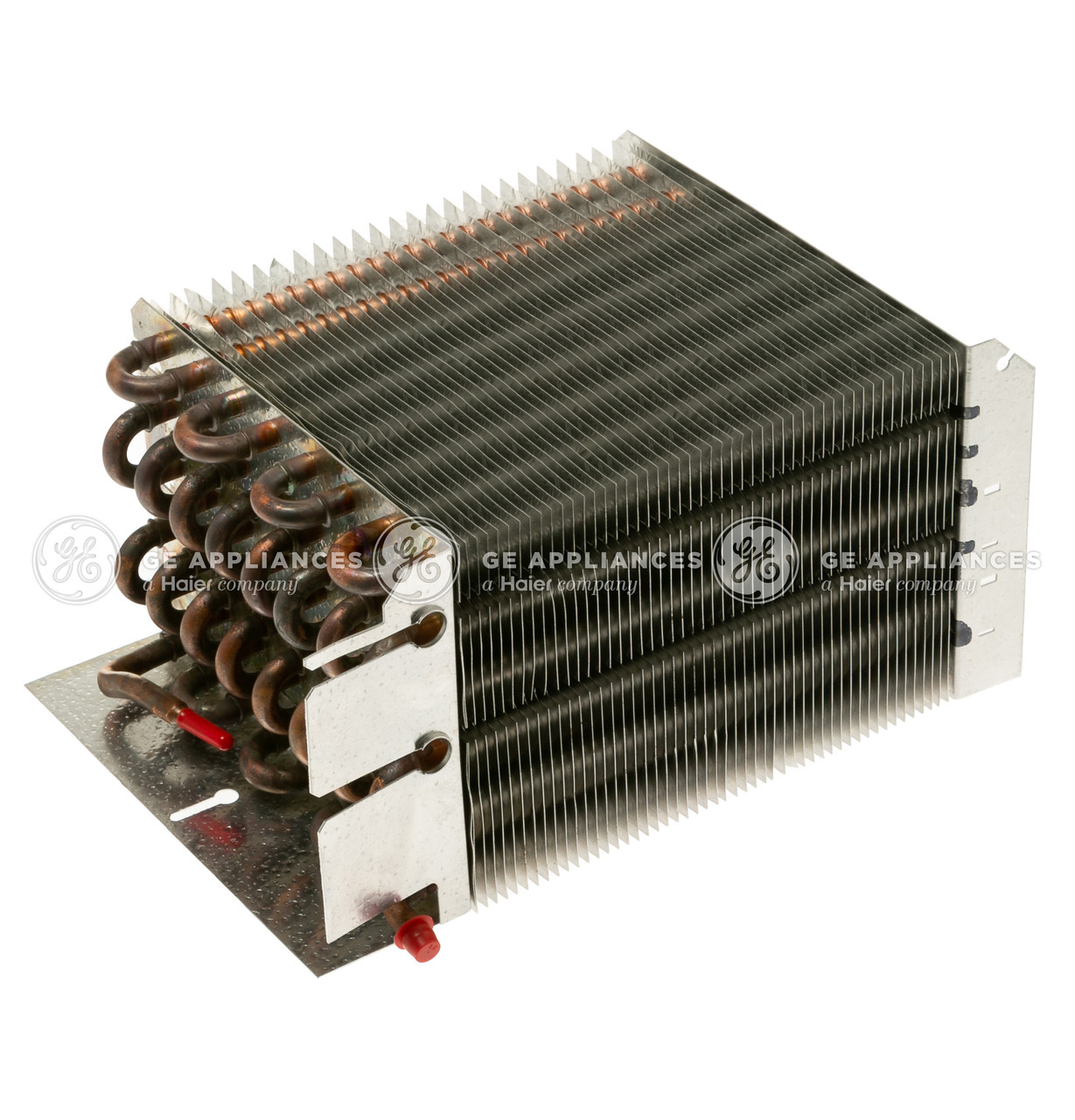 WR85X27895-0012.jpg