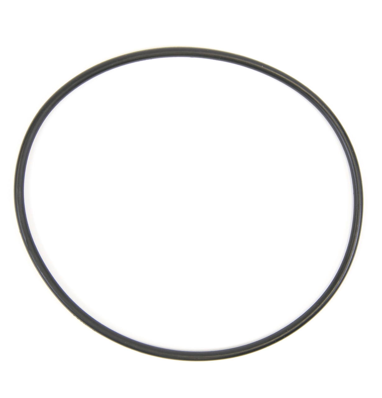 WS03X10054-O-RING-0789.jpg