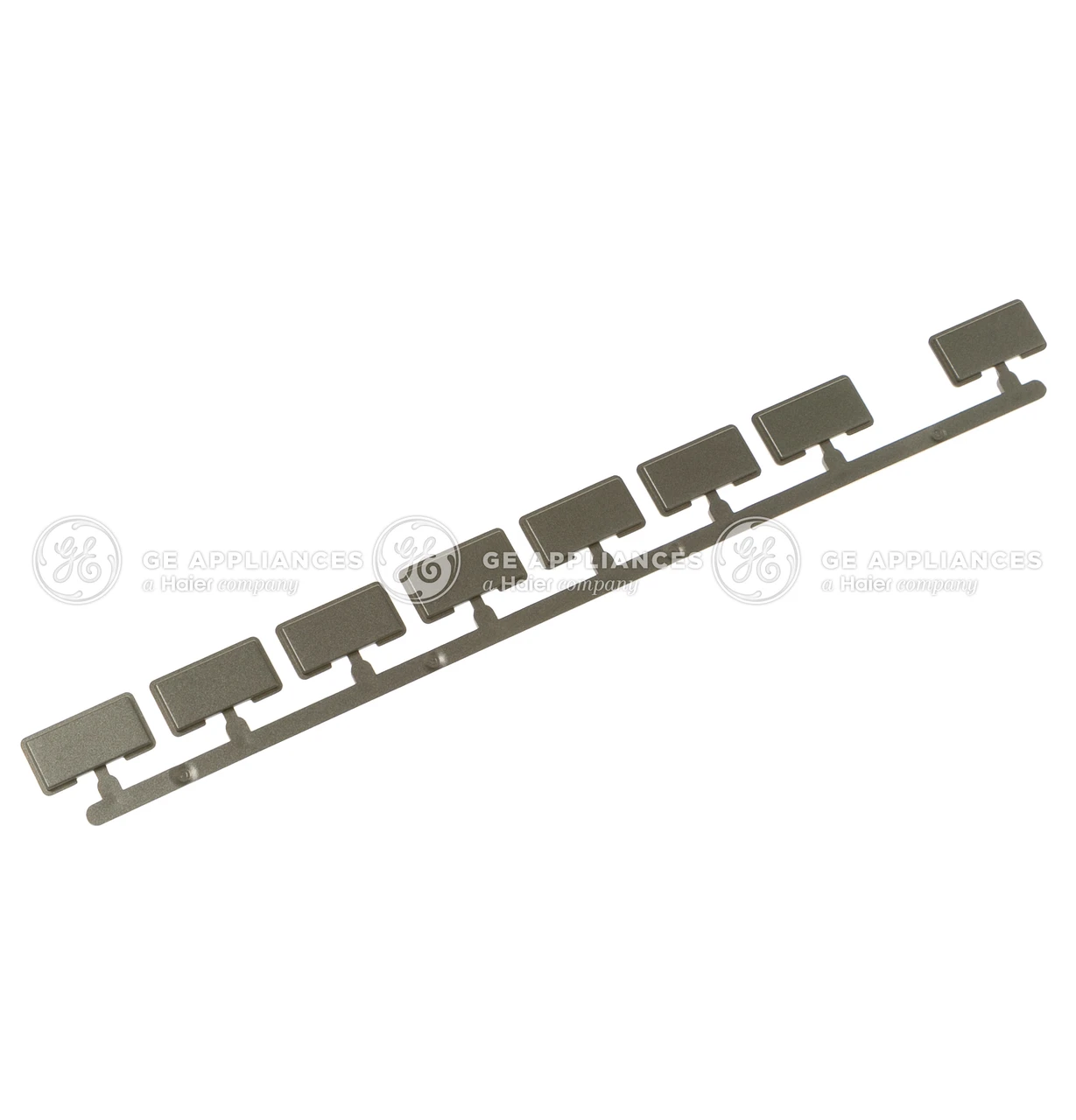 WD09X21688-4472.jpg