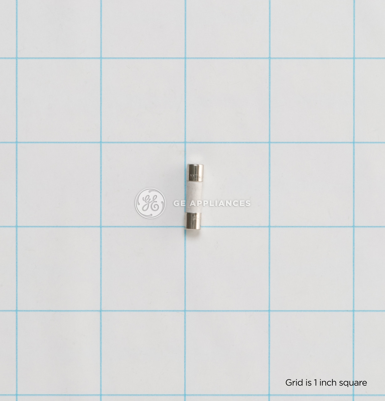 WJ23X10174-3419.jpg WJ23X10174-3419.jpg