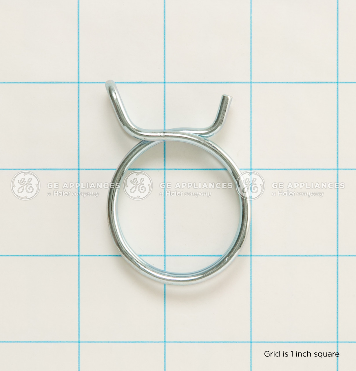WH41X26954-8616.jpg