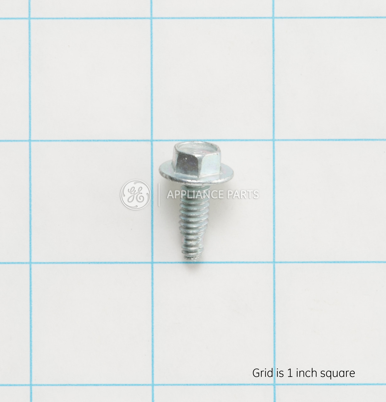 WR01X11011-7705.jpg