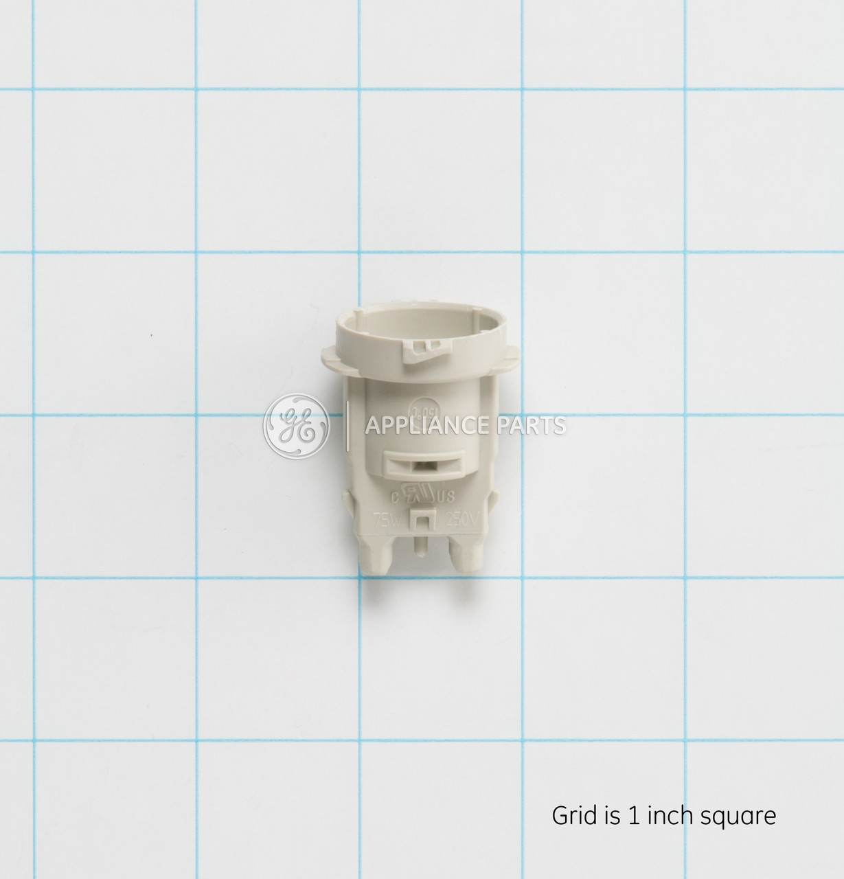 WB08X10022-0893.jpg WB08X10022-0893.jpg