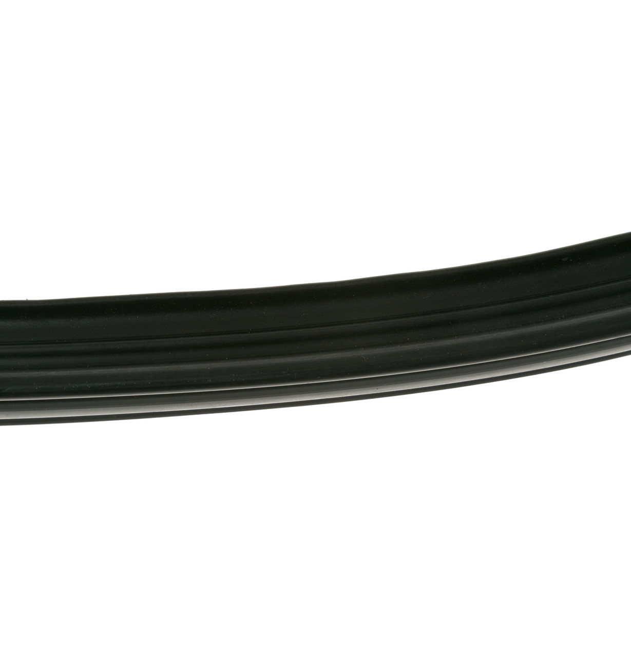 WH8X305-6886.jpg