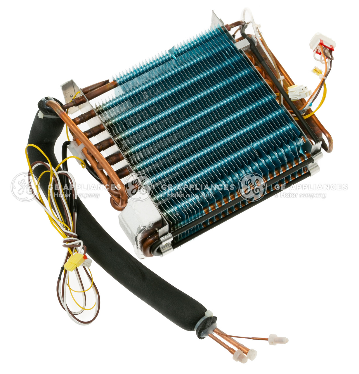 WR85X10062-1674.jpg