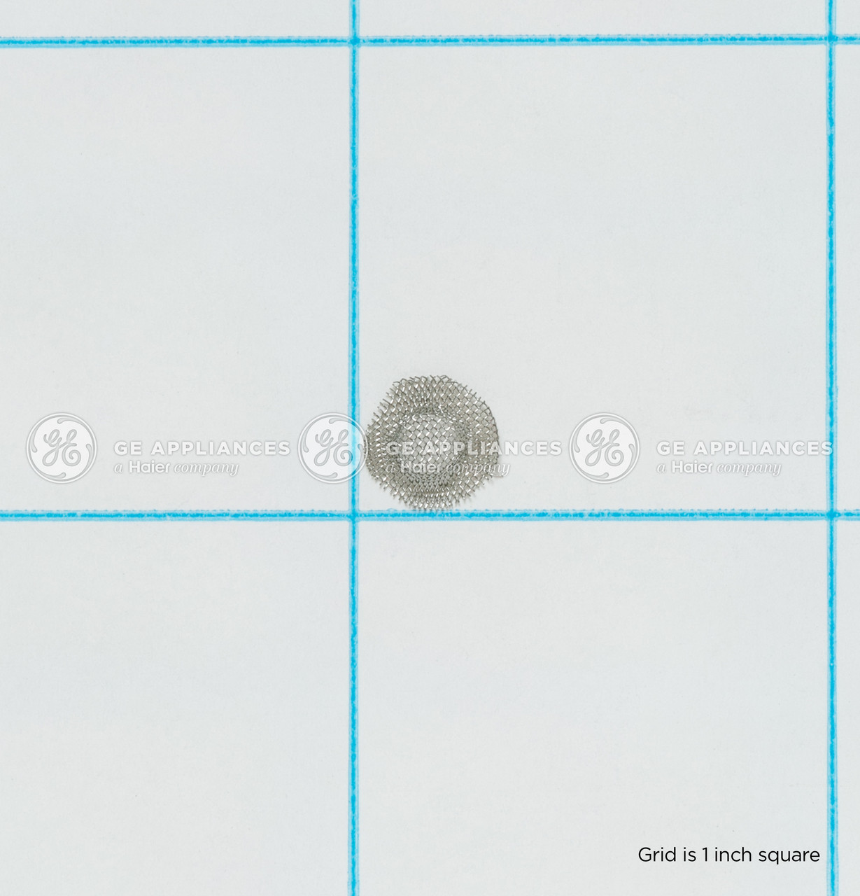 WS03X10015-7843.jpg