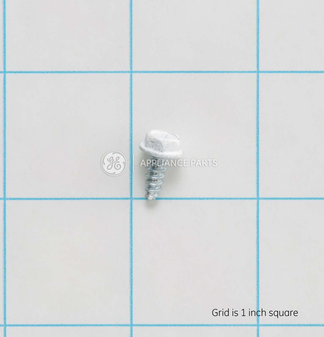 WH02X10219-2762.jpg