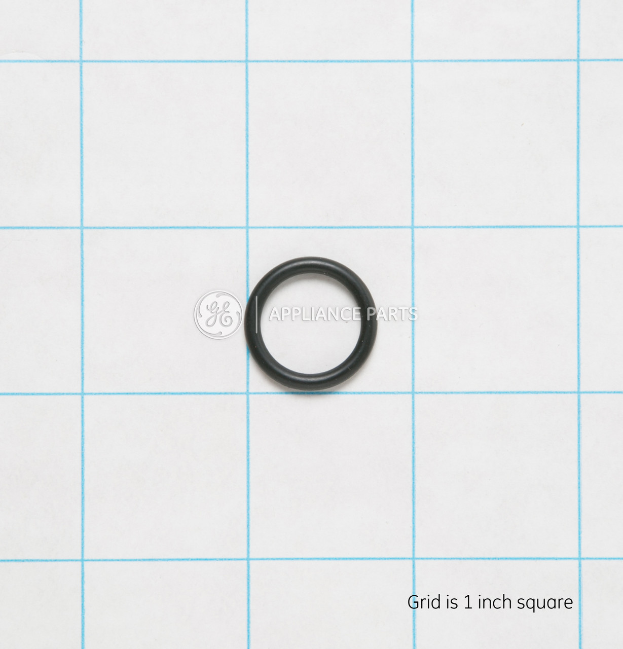 WS03X10021-1753.jpg