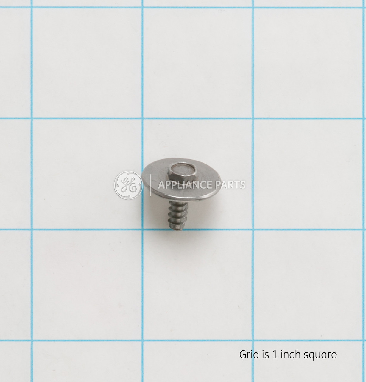 WD02X10169-3171.jpg