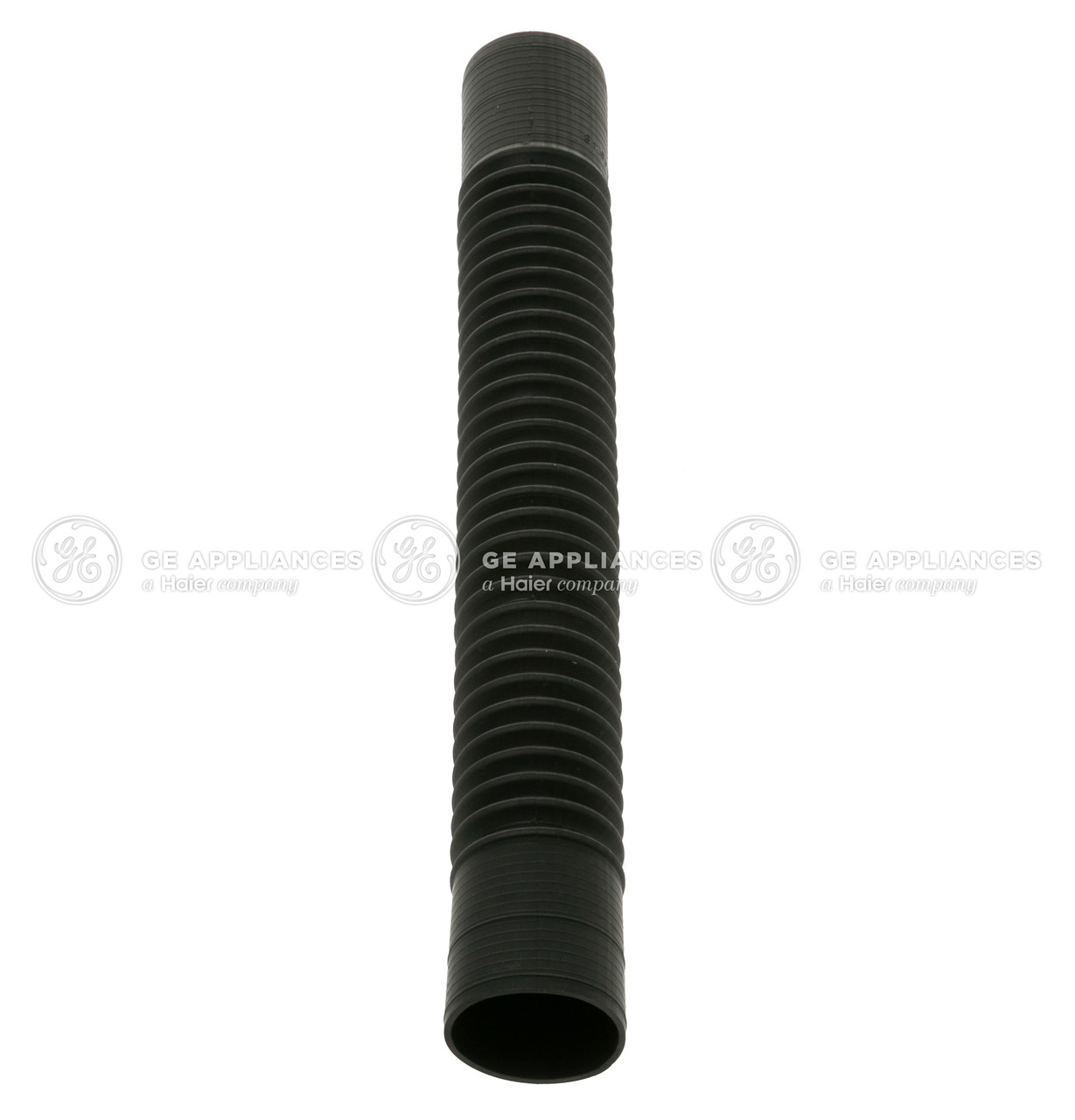 WH41X10027-8760.jpg