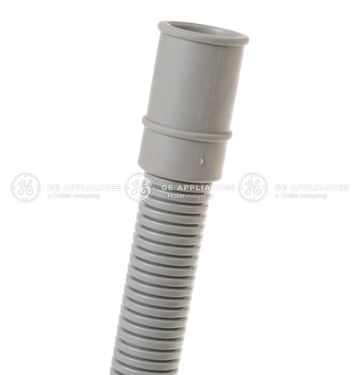 WD24X24188-1885.jpg