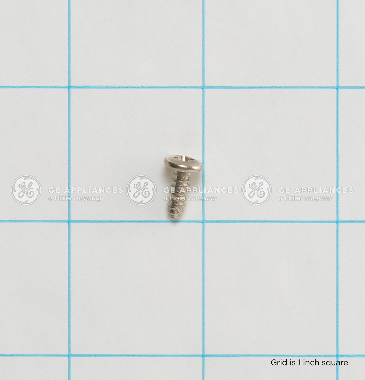 WB1X1118-9070.jpg