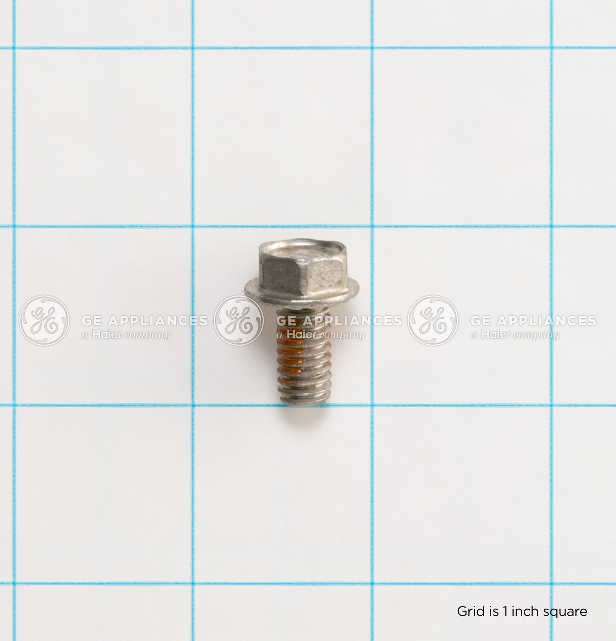 WH02X25419-7013.jpg