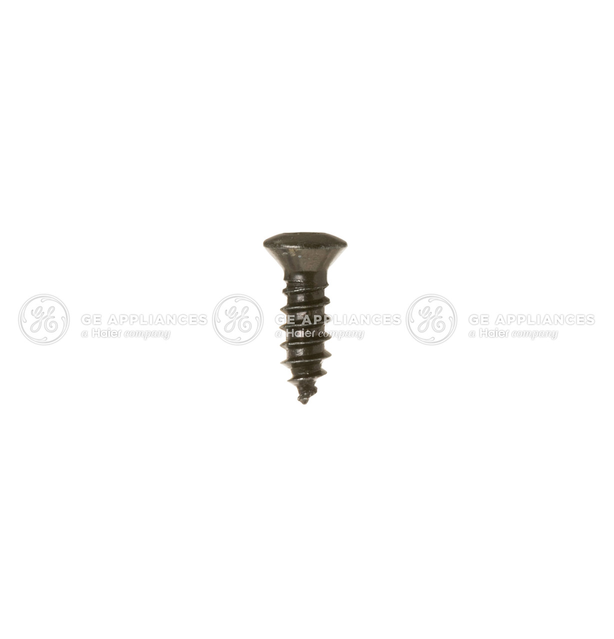WB1X5716-3815.jpg