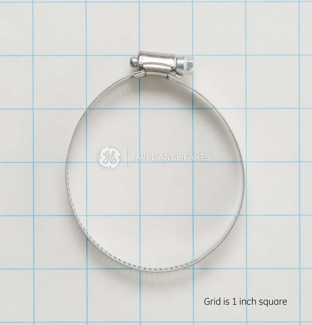 WD1X1392-7811.jpg