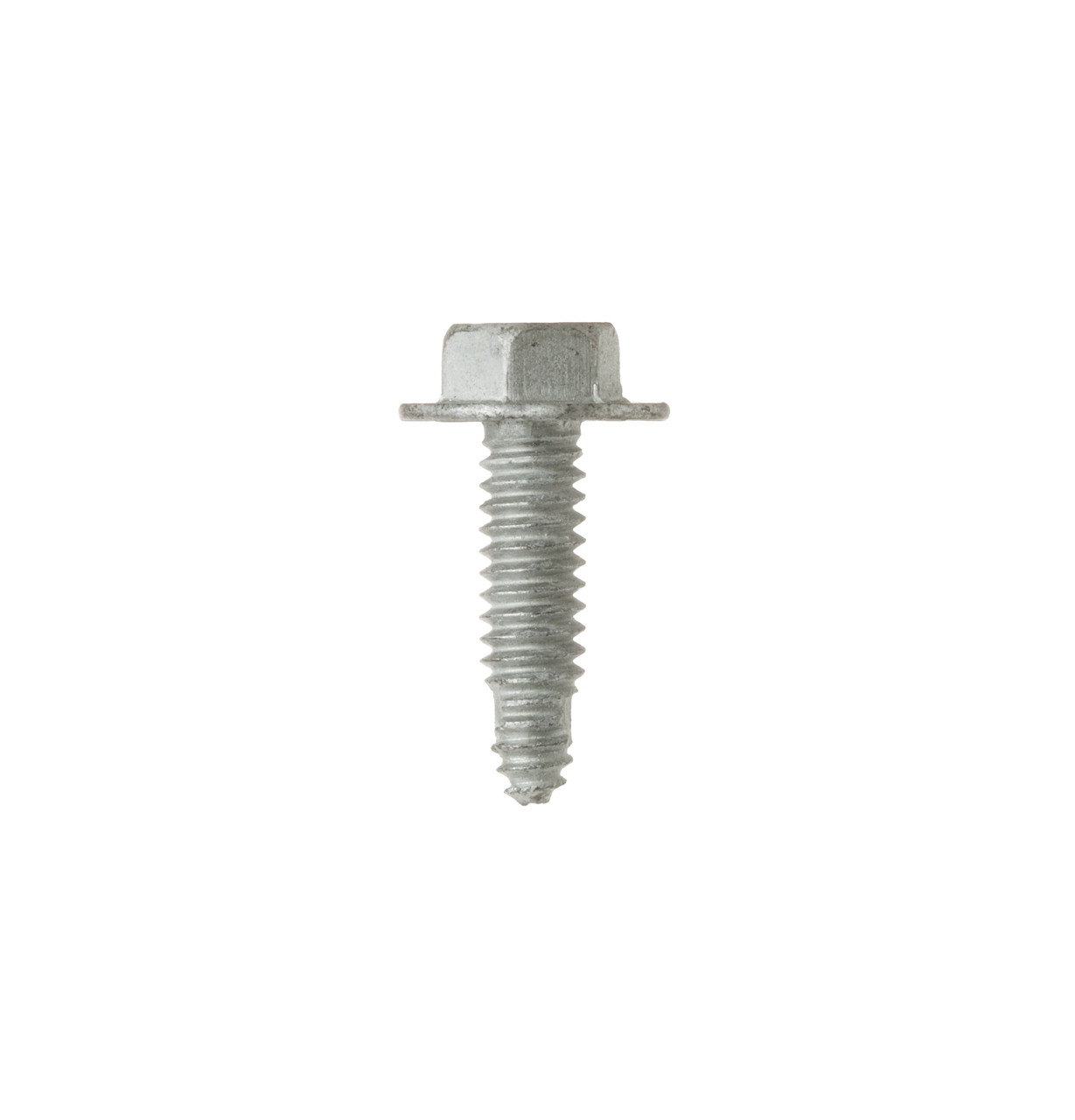 WR01X11049-8390.jpg