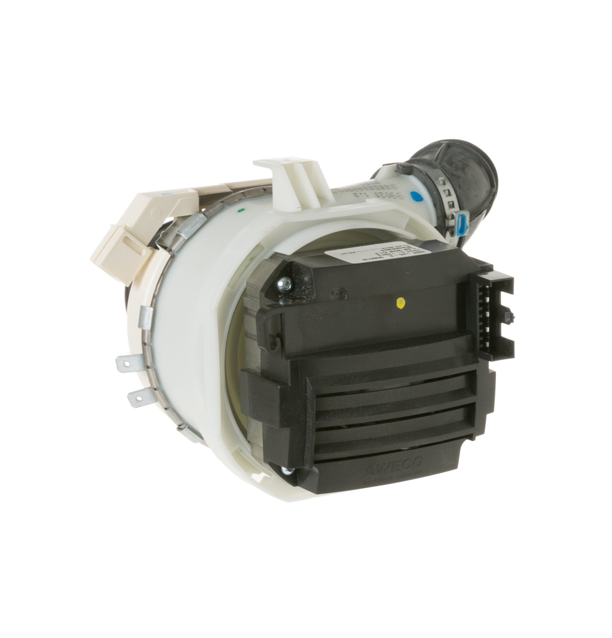 WD00X1038-8025.jpg