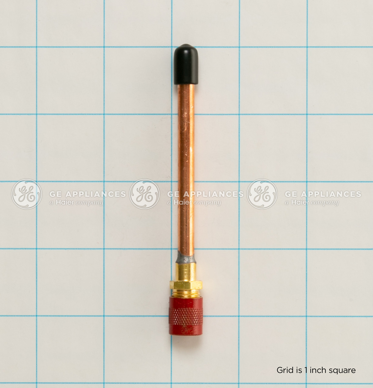 WR87X30876-5570.jpg