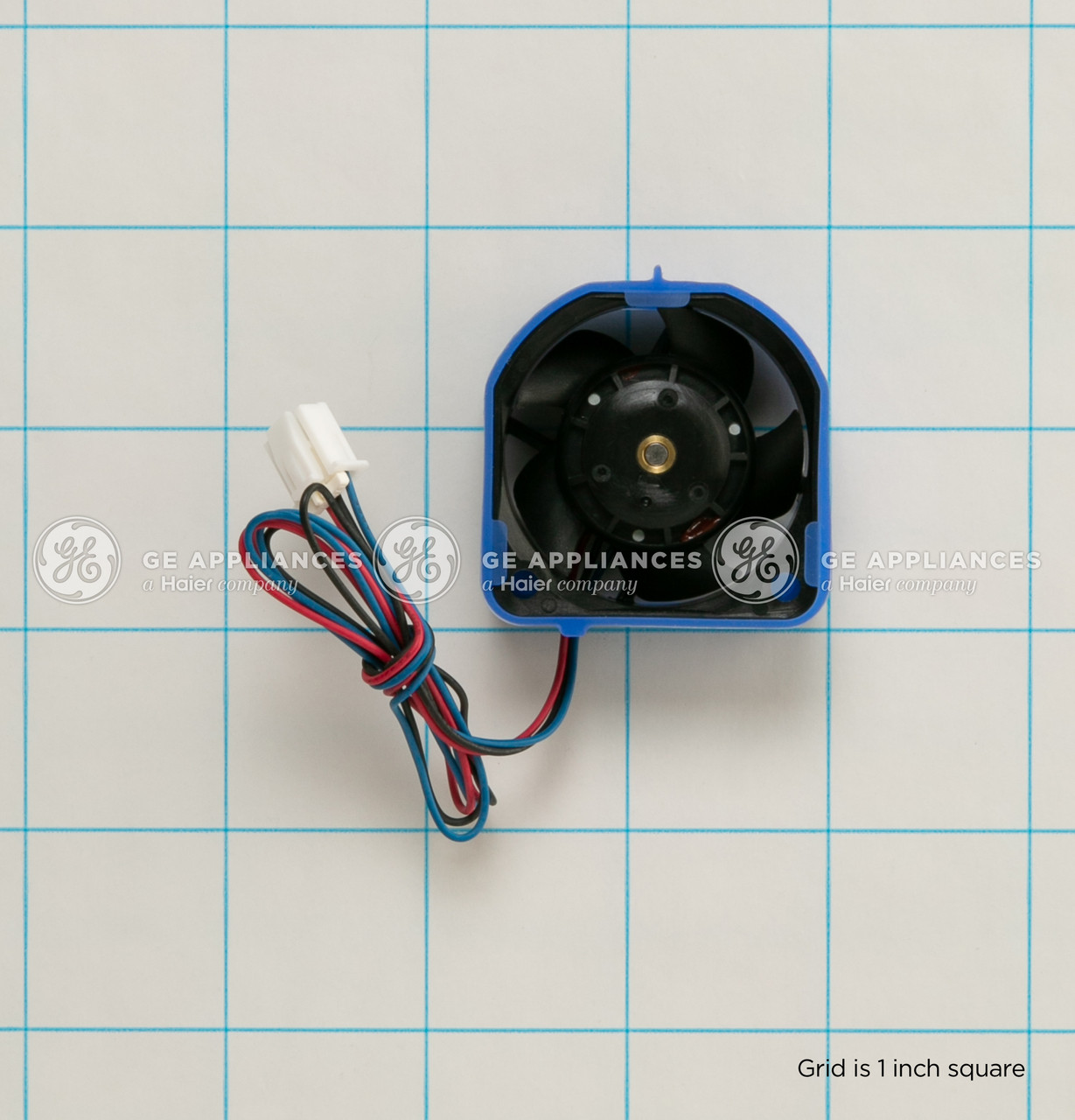 WD24X22944_9031.jpg WD24X22944_9031.jpg