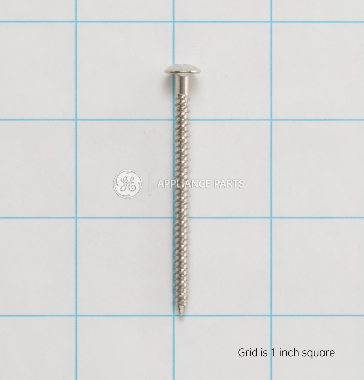 WB1K69-3145.jpg