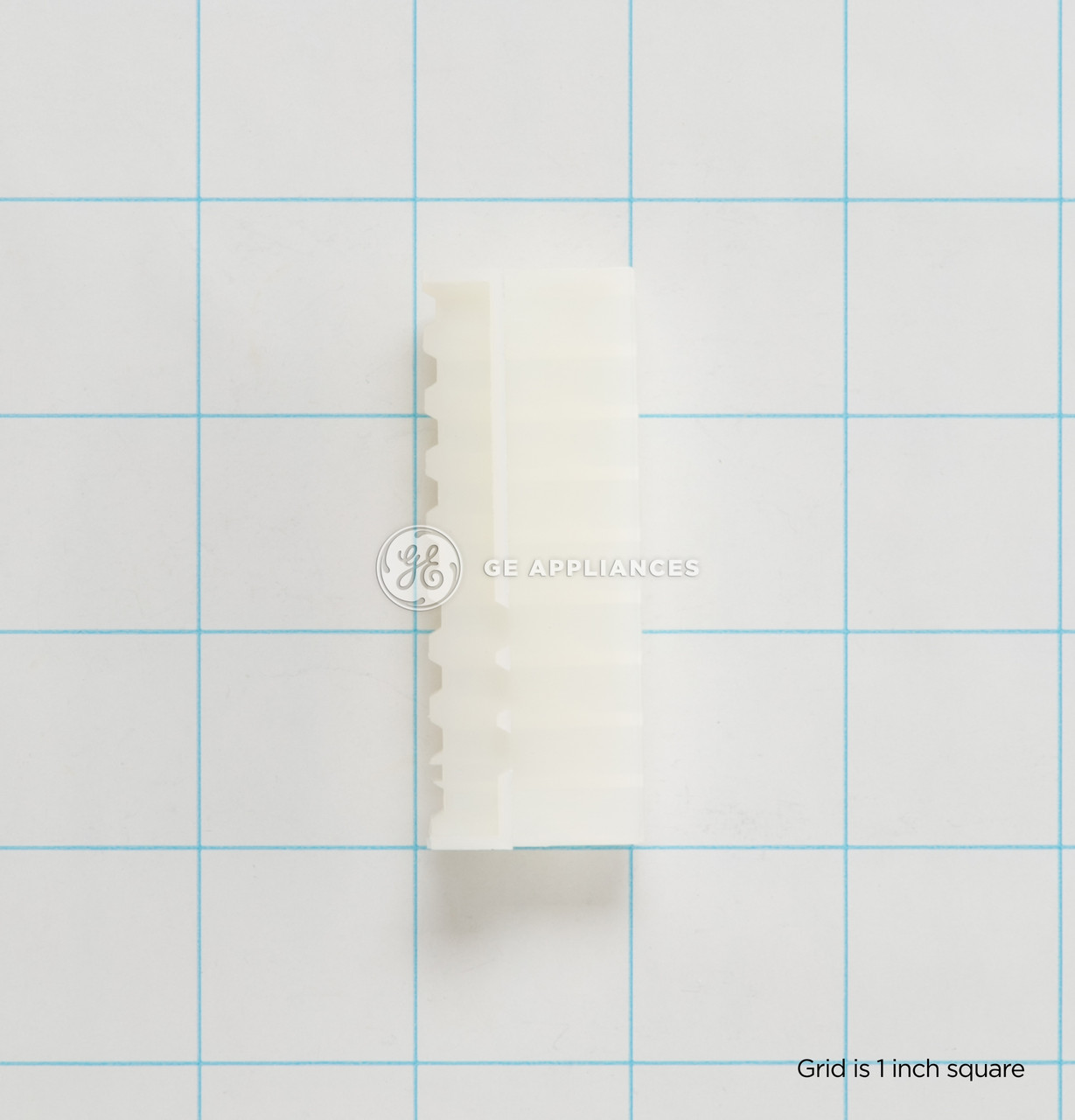 WE1M650-8536.jpg