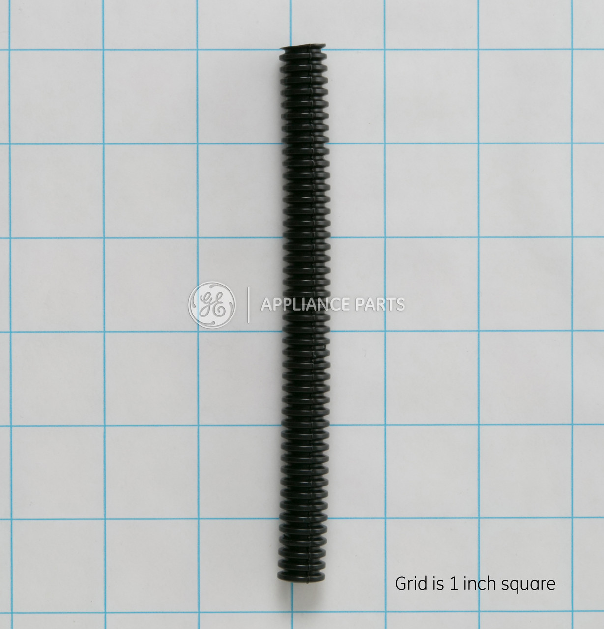 WR2X8933-2981.jpg