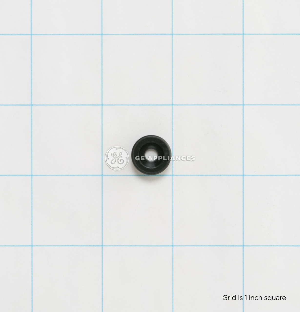 WB01T10021-6332.jpg