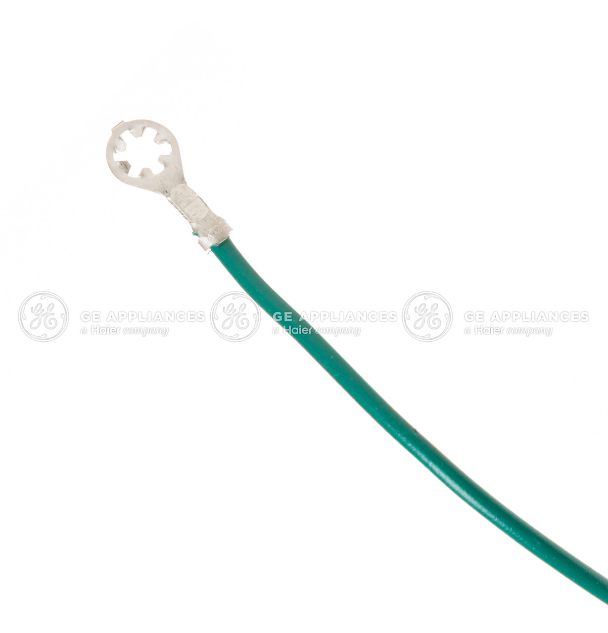 WE5M54-9637.jpg