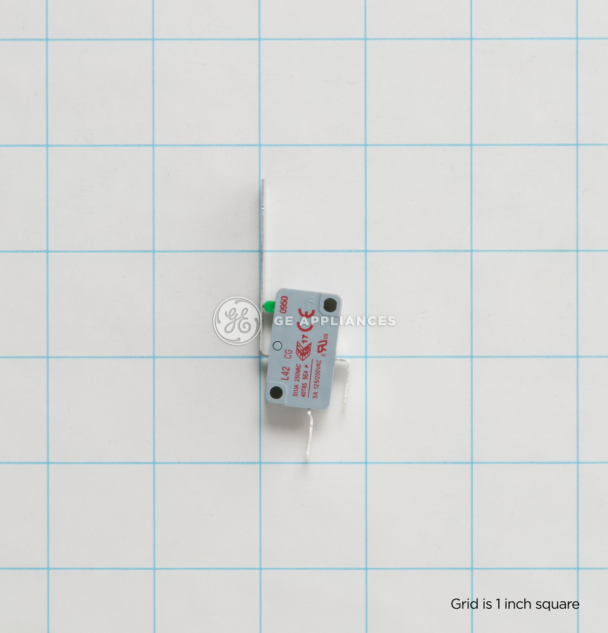 WD21X479-2218.jpg