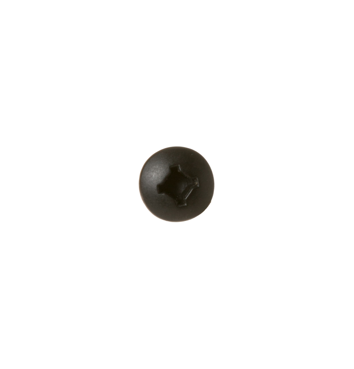 WE1M280-8025.jpg