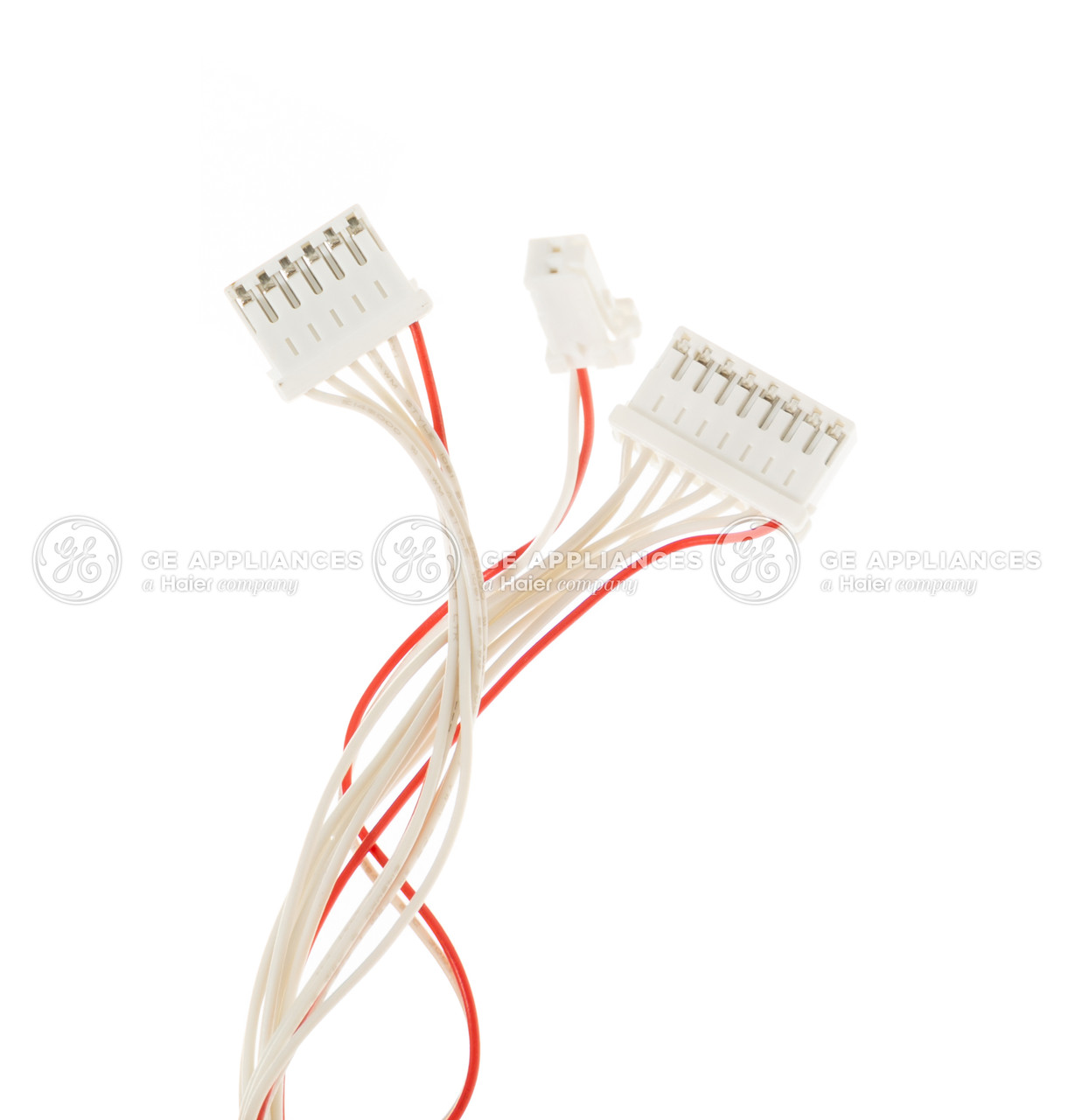 WP29X10028-1778.jpg WP29X10028-1778.jpg